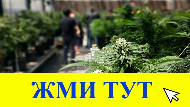 Купить наркотики в Сатке